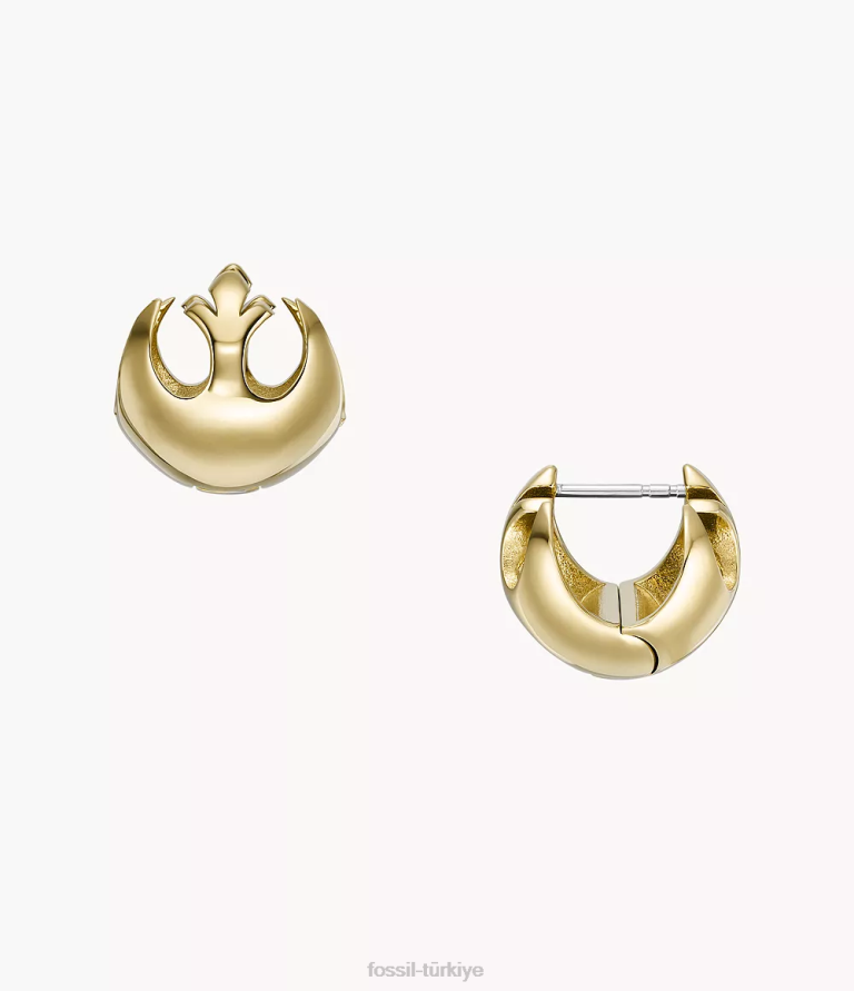 Fossil 6J041048 altın tonu yıldız savaşları direnci paslanmaz çelik halka küpeler takı kadınlar