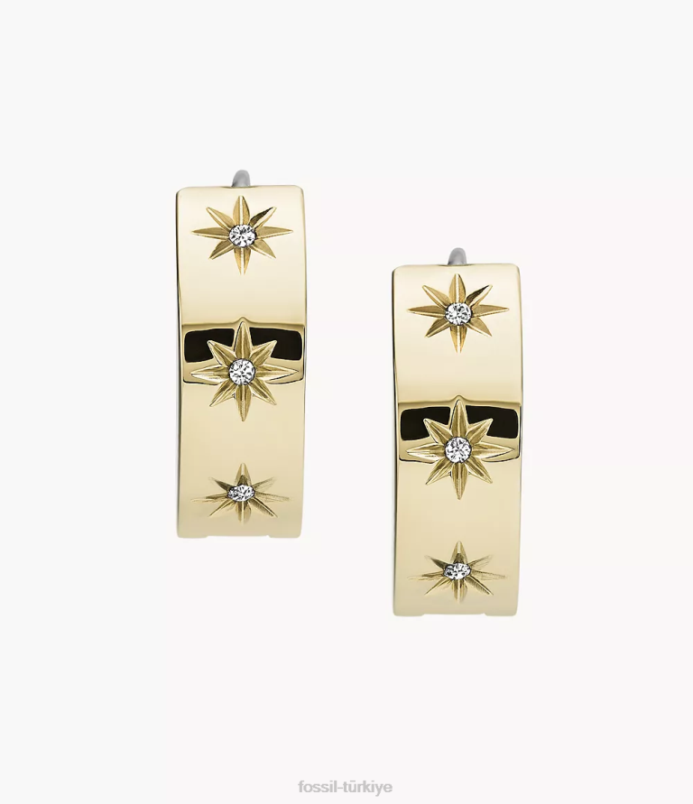 Fossil 6J041051 altın tonu sutton parlaklık parlak paslanmaz çelik halka küpe takı kadınlar