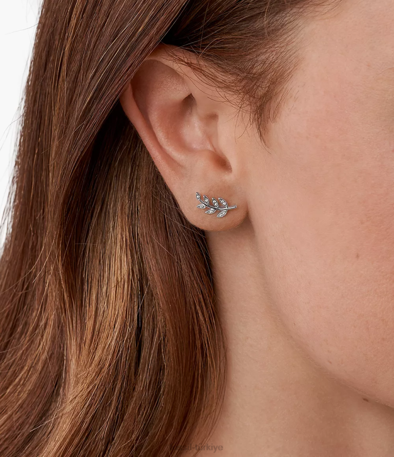 Fossil 6J041052 gümüş elliott zeytin dalı sterling çiviler takı kadınlar