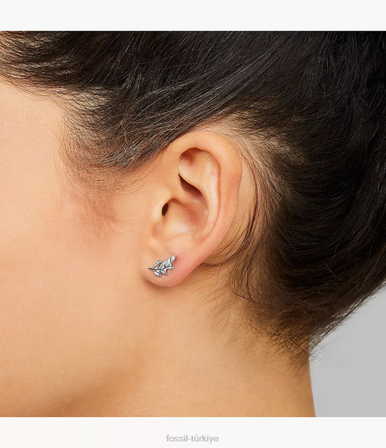 Fossil 6J041052 gümüş elliott zeytin dalı sterling çiviler takı kadınlar