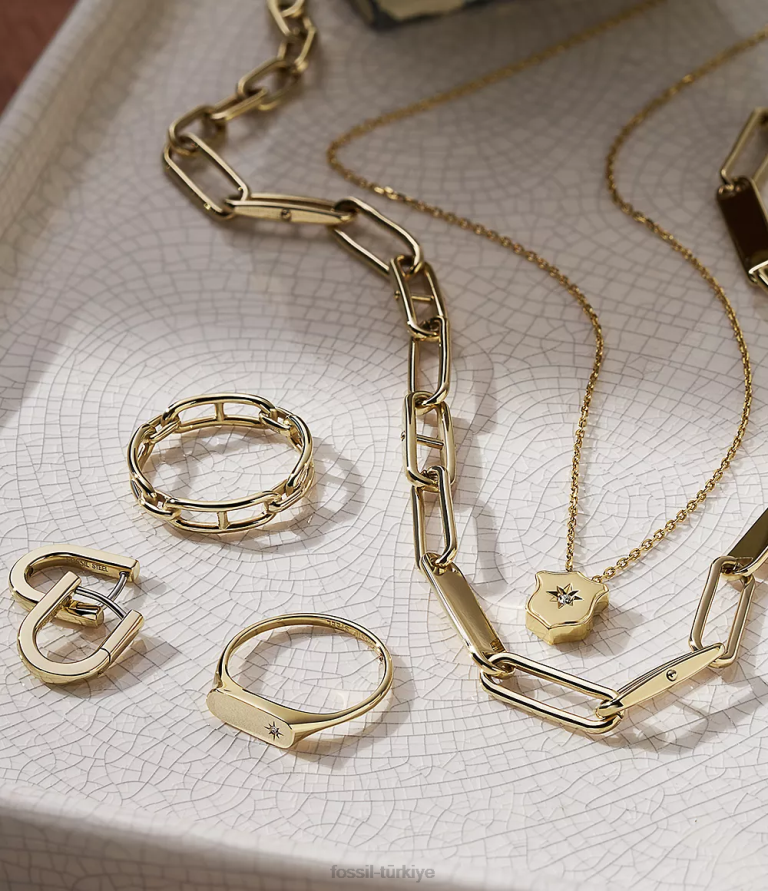 Fossil 6J041067 altın tonu mirasın temelleri paslanmaz çelik halka küpeler takı kadınlar