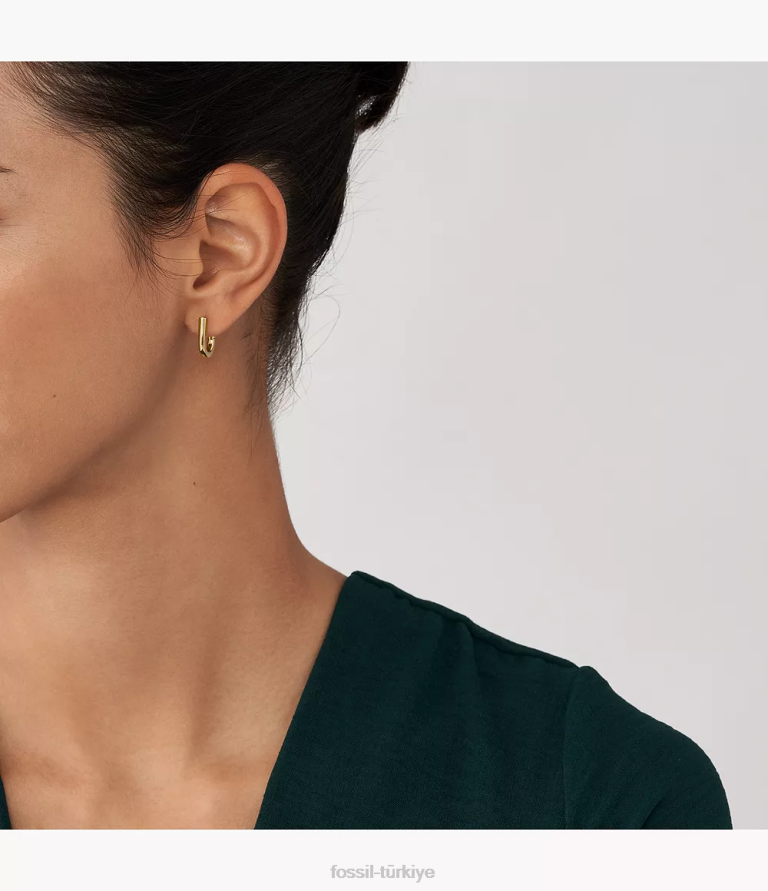 Fossil 6J041067 altın tonu mirasın temelleri paslanmaz çelik halka küpeler takı kadınlar