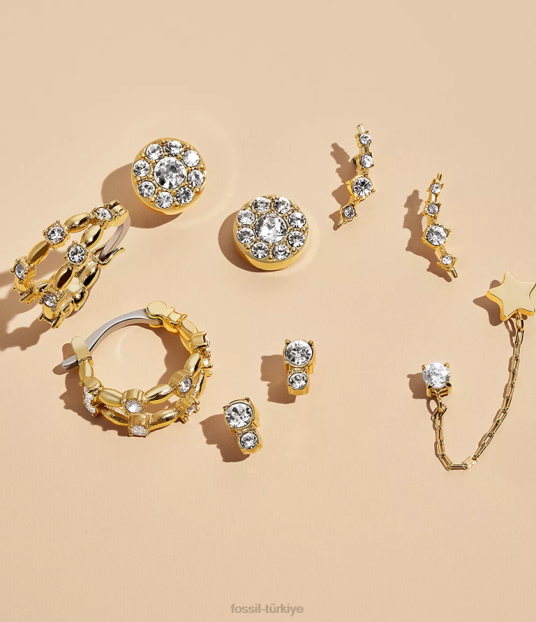 Fossil 6J041072 altın tonu tamamı yığılmış paslanmaz çelik halka küpeler takı kadınlar