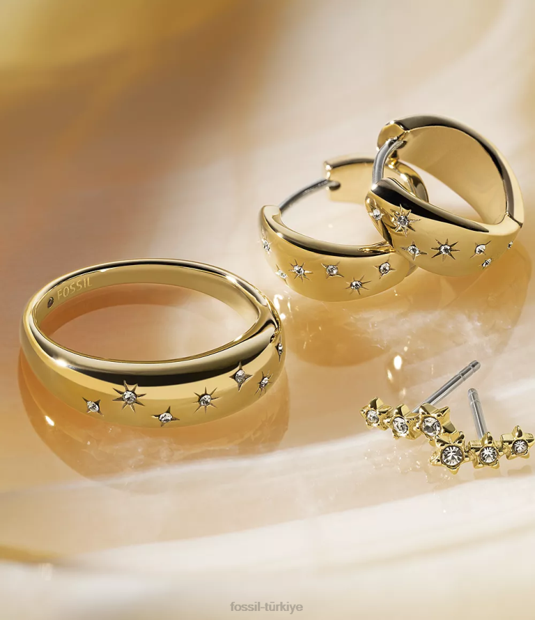 Fossil 6J041075 altın tonu yıldızların altında sadie paslanmaz çelik tırmanıcı küpeleri takı kadınlar