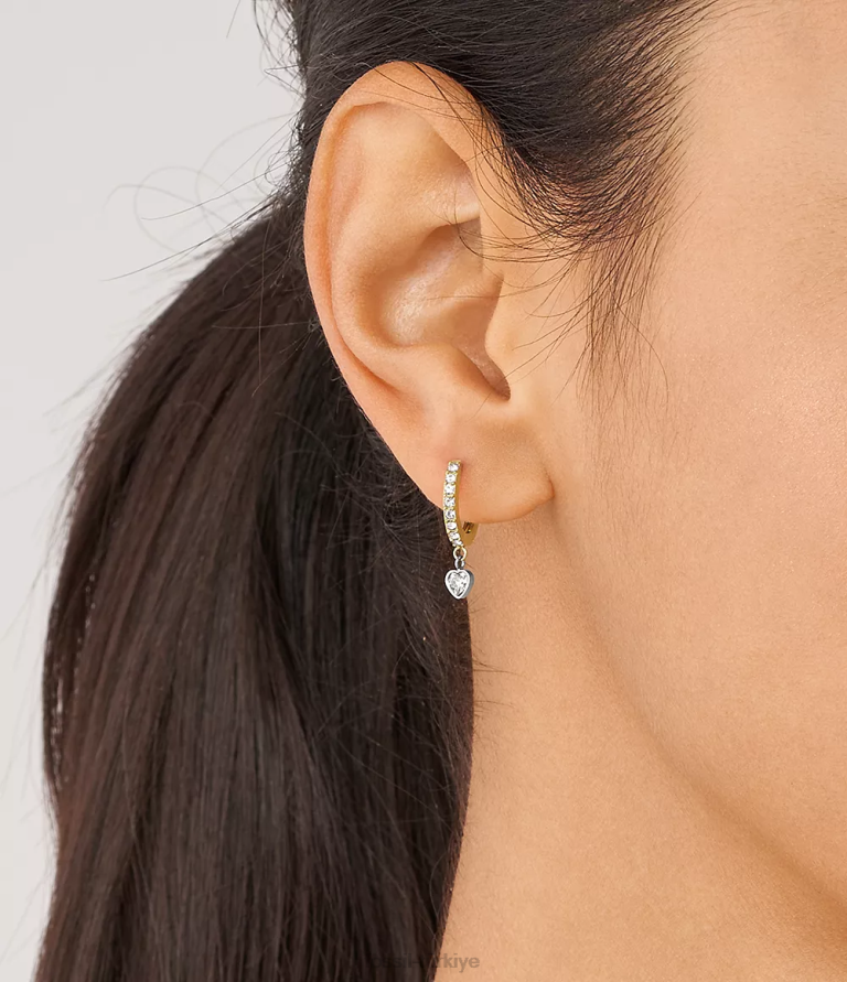 Fossil 6J041076 iki ton sadie sevgi belirteçleri paslanmaz çelik halka küpeler takı kadınlar