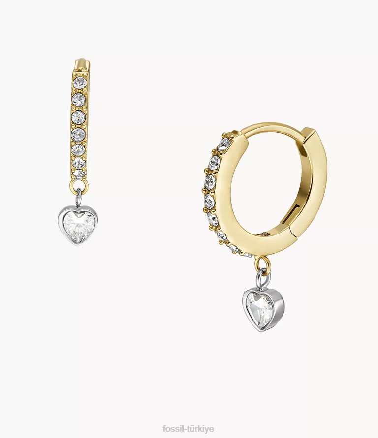 Fossil 6J041076 iki ton sadie sevgi belirteçleri paslanmaz çelik halka küpeler takı kadınlar