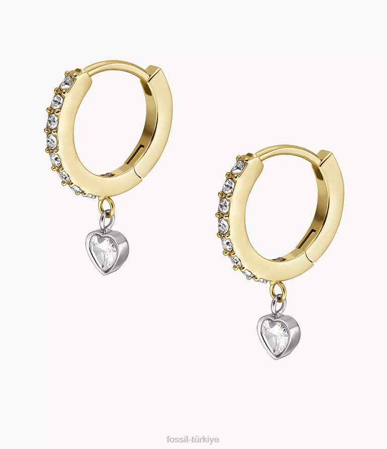 Fossil 6J041076 iki ton sadie sevgi belirteçleri paslanmaz çelik halka küpeler takı kadınlar