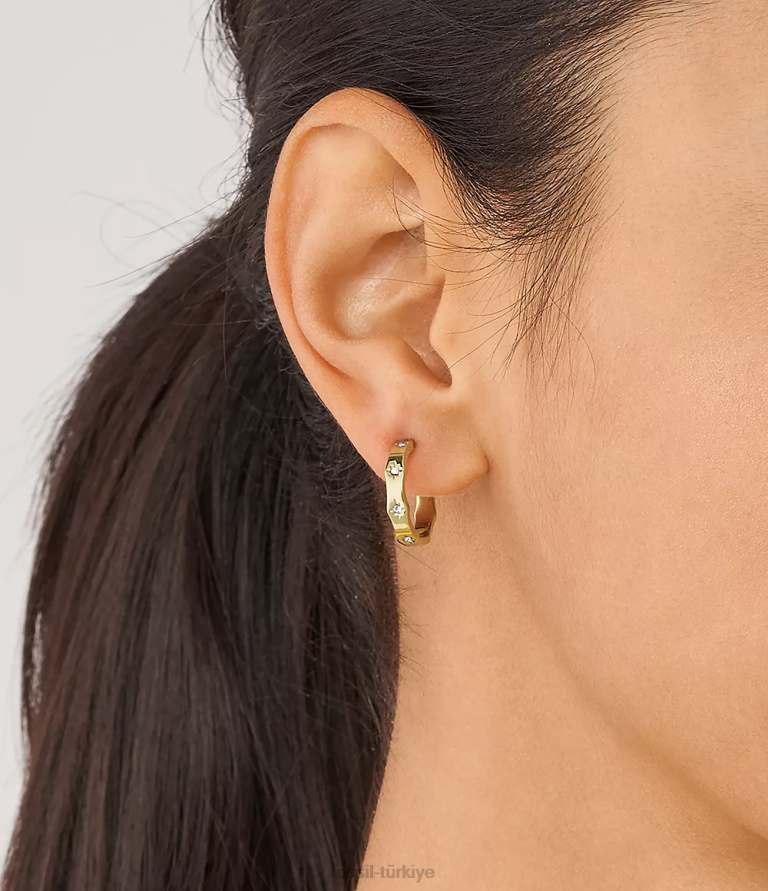 Fossil 6J041083 altın tonu sadie fistolu kenar paslanmaz çelik halka küpeler takı kadınlar