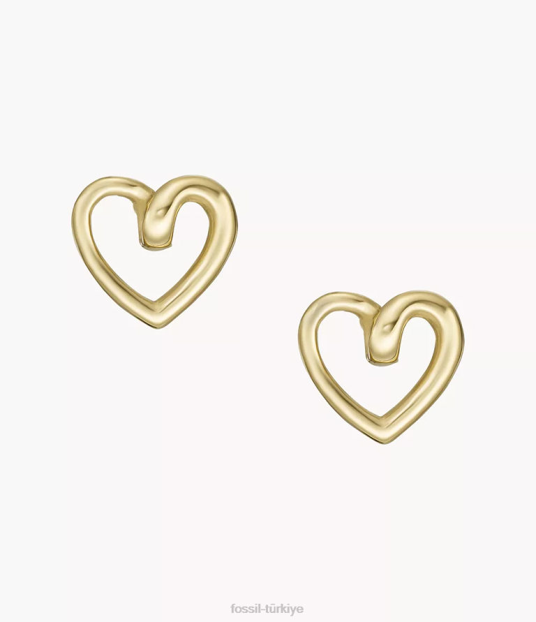 Fossil 6J041225 altın tonu paslanmaz çelik saplama küpeler takı kadınlar