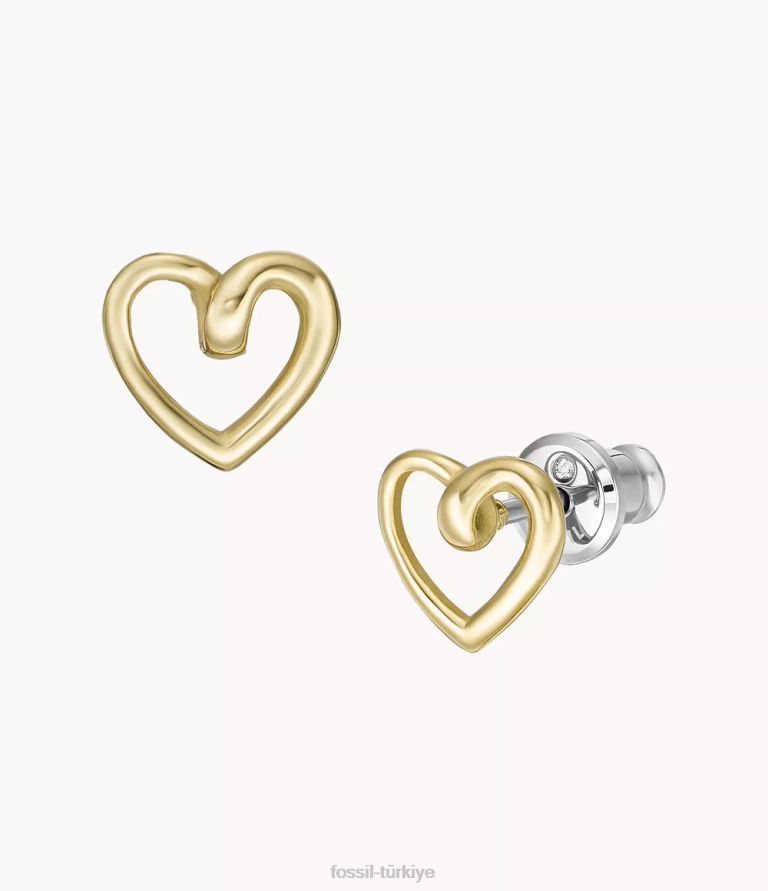 Fossil 6J041225 altın tonu paslanmaz çelik saplama küpeler takı kadınlar