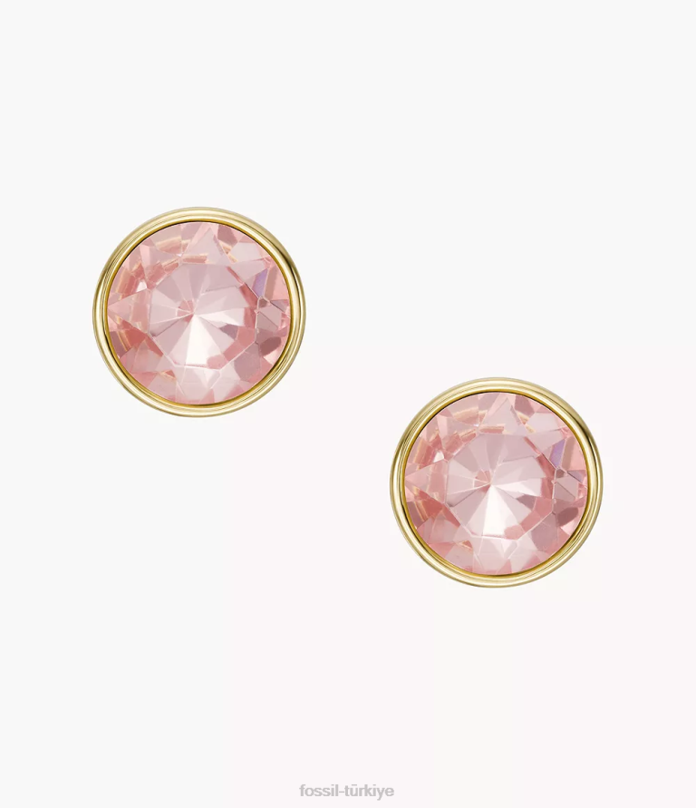 Fossil 6J041301 açık mor cam saplama küpe takı kadınlar