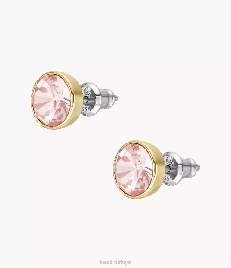 Fossil 6J041301 açık mor cam saplama küpe takı kadınlar