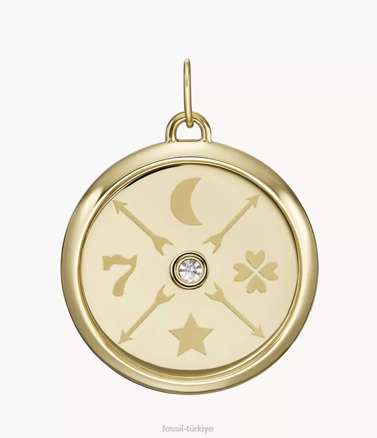 Fossil 6J041176 altın tonu ah çok büyüleyici paslanmaz çelik çekicilik takı kadınlar