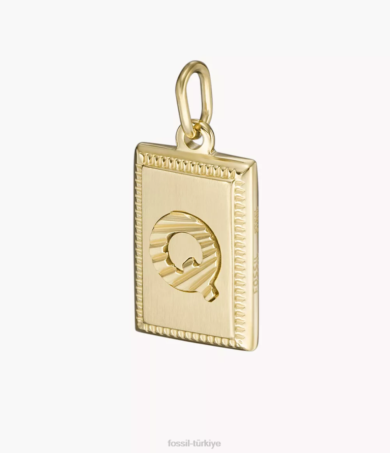 Fossil 6J041307 altın tonu ah çok büyüleyici paslanmaz çelik ilk cazibesi takı kadınlar