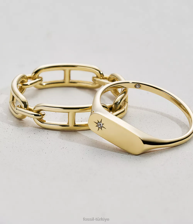 Fossil 6J041117 altın tonu miras essentials paslanmaz çelik bant halkası takı kadınlar