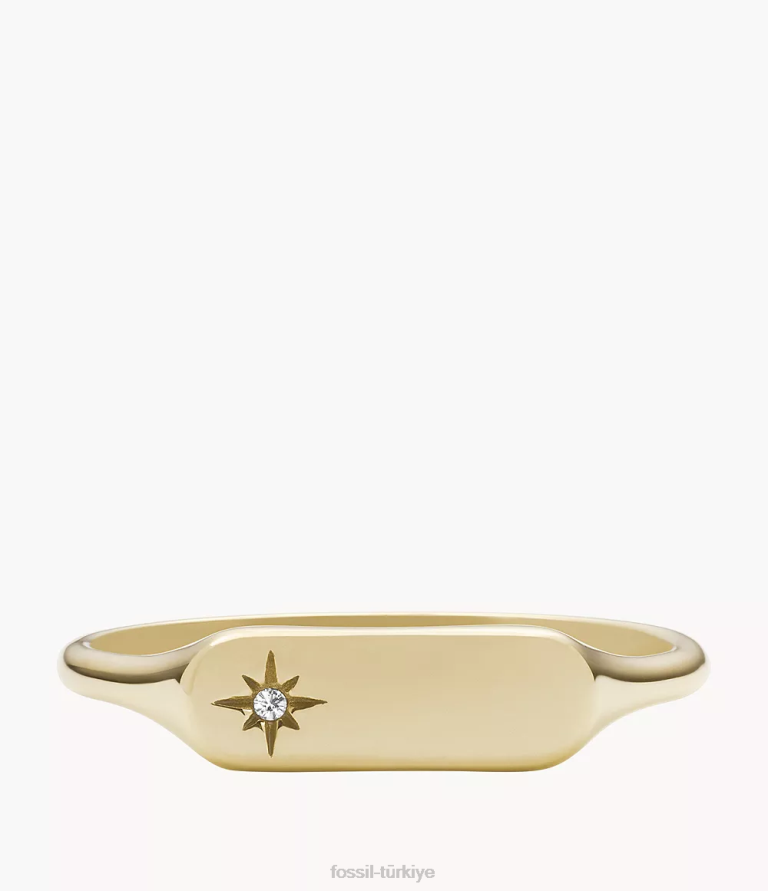 Fossil 6J041119 altın tonu miras essentials paslanmaz çelik çubuk halkası takı kadınlar