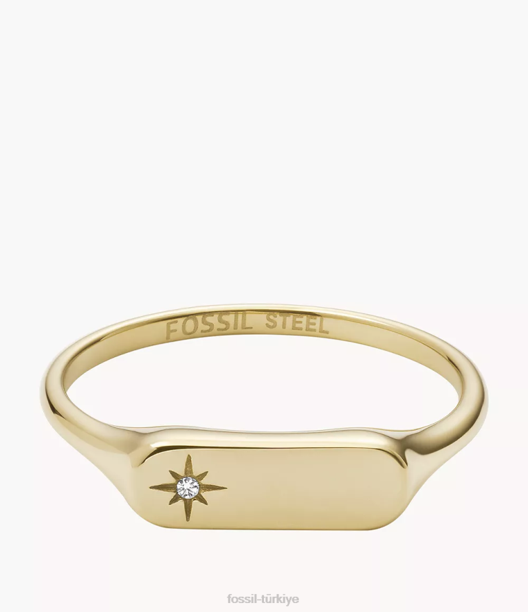Fossil 6J041119 altın tonu miras essentials paslanmaz çelik çubuk halkası takı kadınlar