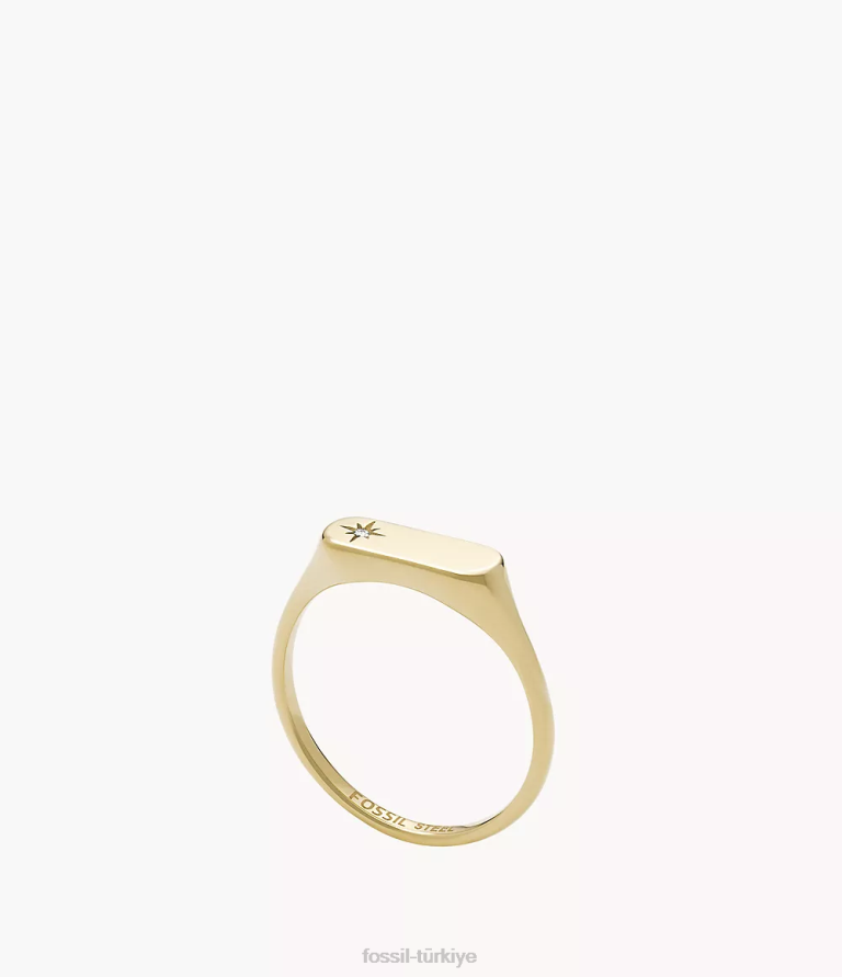 Fossil 6J041119 altın tonu miras essentials paslanmaz çelik çubuk halkası takı kadınlar