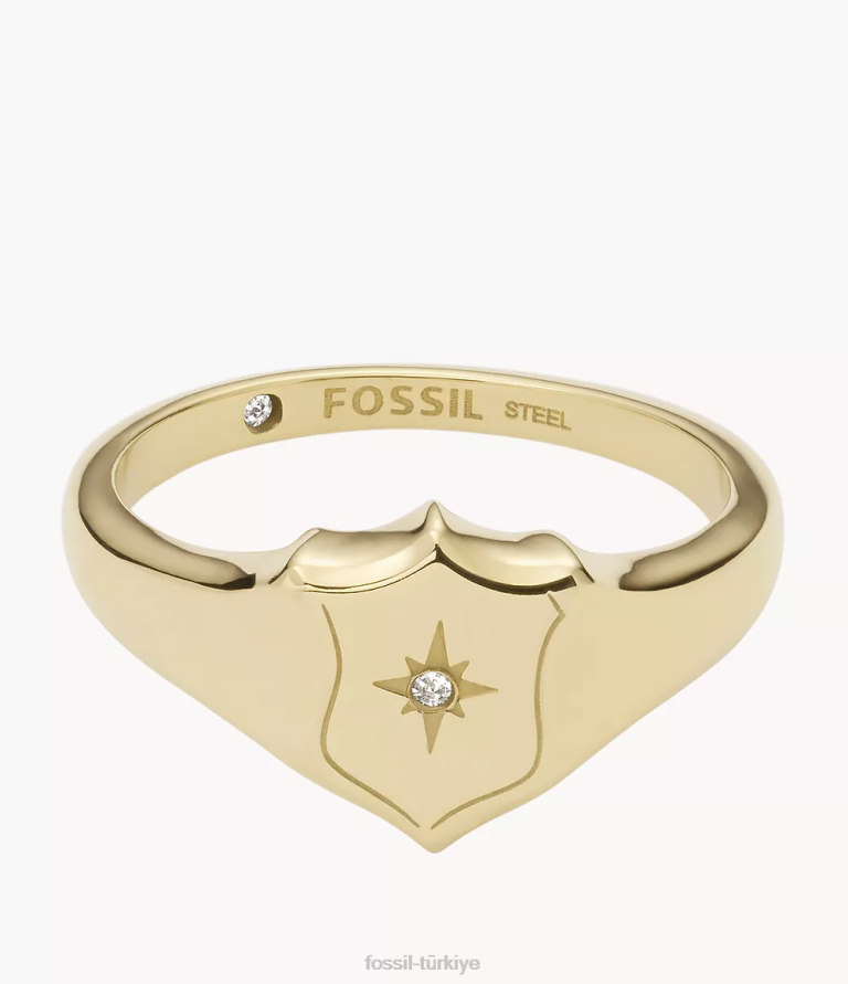 Fossil 6J041120 altın tonu miras essentials paslanmaz çelik kalkan halkası takı kadınlar