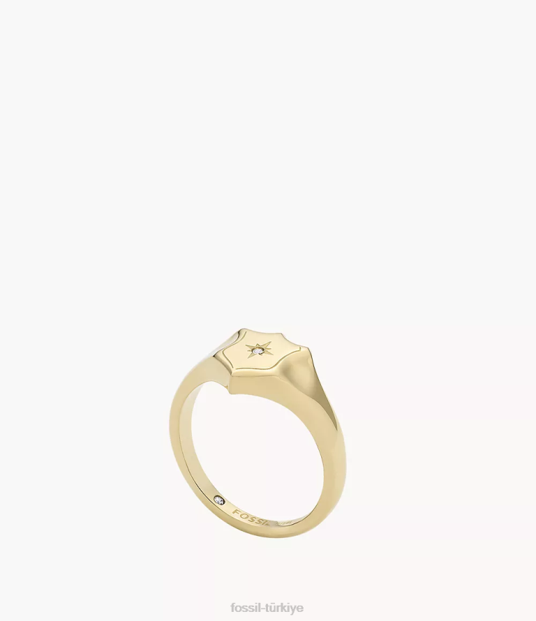 Fossil 6J041120 altın tonu miras essentials paslanmaz çelik kalkan halkası takı kadınlar