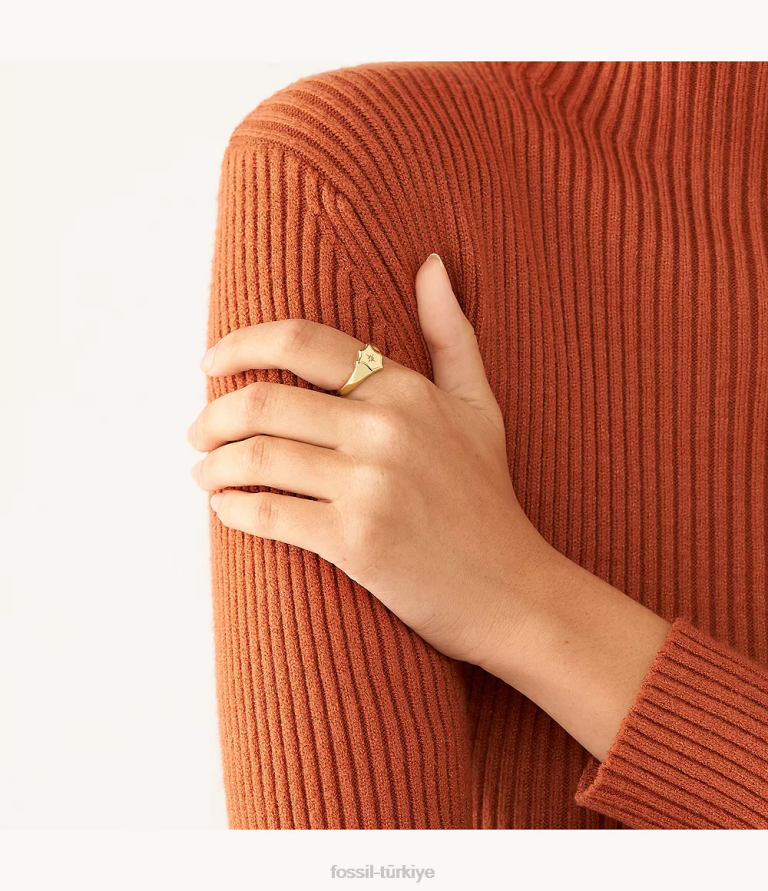 Fossil 6J041120 altın tonu miras essentials paslanmaz çelik kalkan halkası takı kadınlar