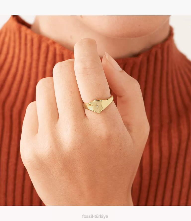 Fossil 6J041120 altın tonu miras essentials paslanmaz çelik kalkan halkası takı kadınlar