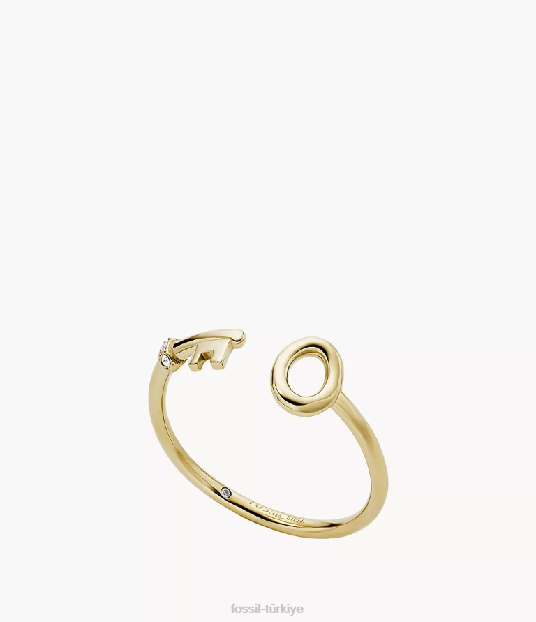 Fossil 6J041196 altın tonu arşiv paslanmaz çelik anahtarlık halkası takı kadınlar