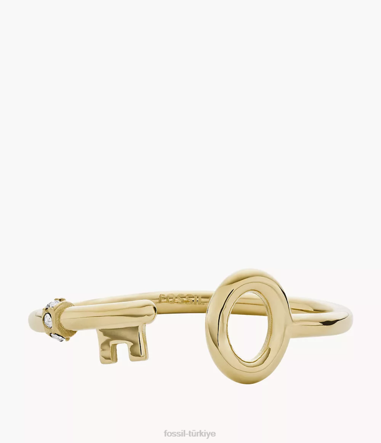 Fossil 6J041196 altın tonu arşiv paslanmaz çelik anahtarlık halkası takı kadınlar
