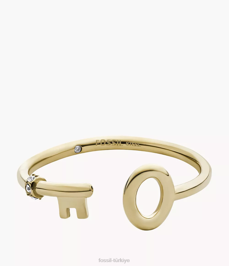 Fossil 6J041196 altın tonu arşiv paslanmaz çelik anahtarlık halkası takı kadınlar